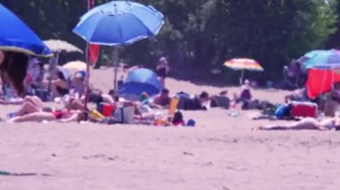 Blurry sandy beach with people and birds at The Scarborough Bluffs hot summer day. Lake and green trees. Holiday and tourist vacations sunbathing and relaxing: Toronto, Ontario, Canada - July 15, 2022