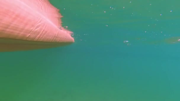 View Underwater Diver Inflatable Board Sup Rowing Water Sport Activities — стоковое видео