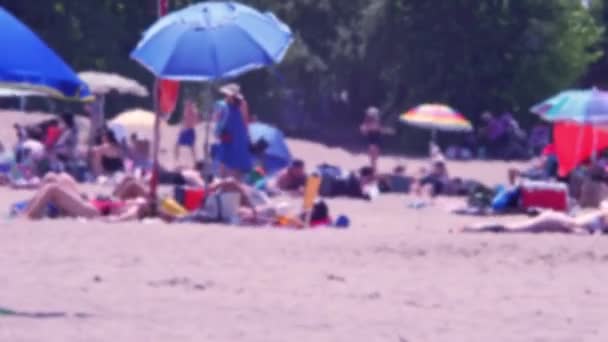 Blurry Sandy Beach People Birds Hot Summer Day Blurred People — ストック動画