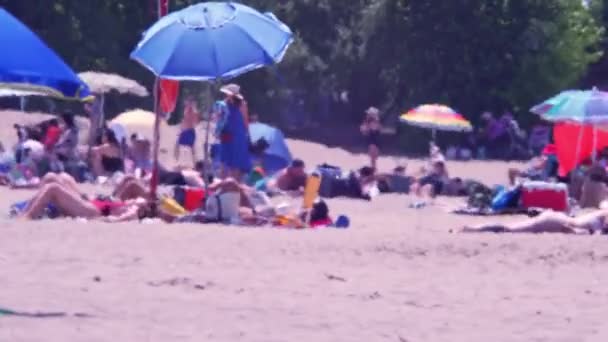 Zamazana Piaszczysta Plaża Ludźmi Ptakami Scarborough Bluffs Gorący Letni Dzień — Wideo stockowe