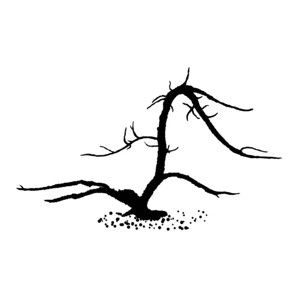 Çıplak Ağaç Silueti Ağaç Gövdesinin Yapraksız Iğnesiz Elle Çizilmiş Şekli — Stok Vektör
