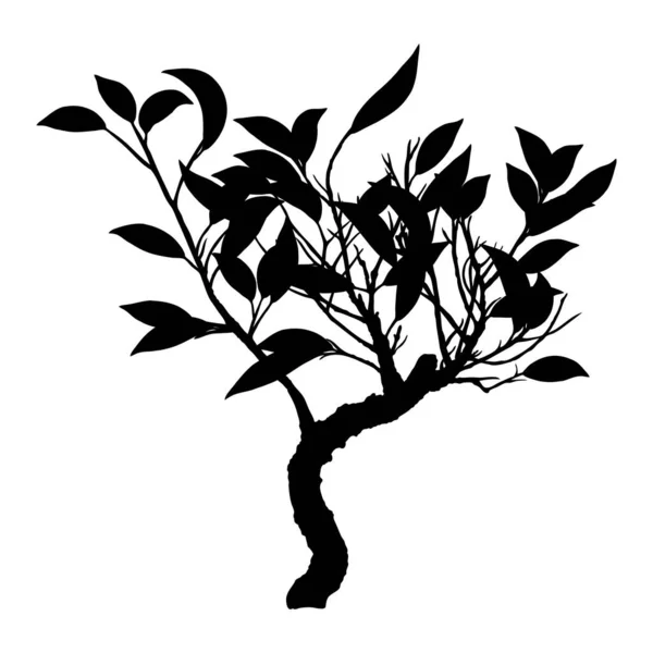 Sílhueta Desenho Altamente Detalhada Árvore Arbusto Planta Desenhada Mão Isolado — Vetor de Stock
