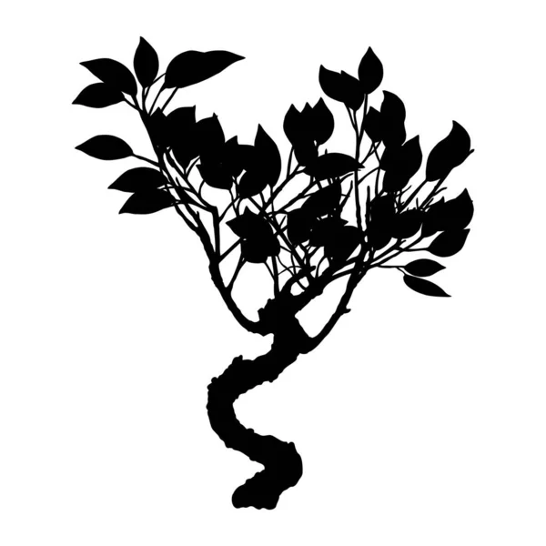 Çok Detaylı Ağaç Silueti Çizilmiş Yapımı Bitki Çalısı Beyaz Arka — Stok Vektör