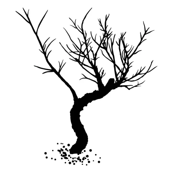 Çıplak Ağaç Silueti Ağaç Gövdesinin Yapraksız Iğnesiz Elle Çizilmiş Şekli — Stok Vektör