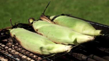 Yeşil kabuklu yanmış altın mısır koçanı ızgarada ızgara, duman ve alevler. Piknik partisi ve doğada kamp. Sağlıklı vejetaryen yemek tabağıyla güneşli bir yaz tatili.