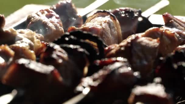 Готовить Жареную Свинину Открытом Воздухе Кемпинге Шашлык Барбекю Пикнике Парке — стоковое видео