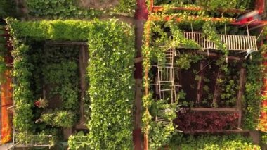 Nursery for growing vegetable seedlings in a city setting, small urban farm for organic farming and hand-grown food. Self-sustained gardening system, sustainable agriculture and locally grown produce.