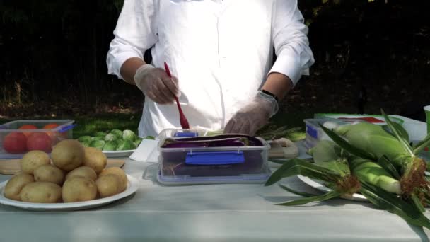 Bahçe Pikniği Kutlaması Hazırlığı Barbekü Izgarası Için Baharatlı Sebze Açık — Stok video