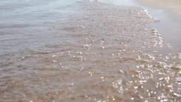 正午の海岸波に焦点を閉じる 穏やかな海の波は夏の砂浜で飛び散っています 夏は砂浜で波を閉じる 要約自然背景旅行リラックスして冒険 — ストック動画
