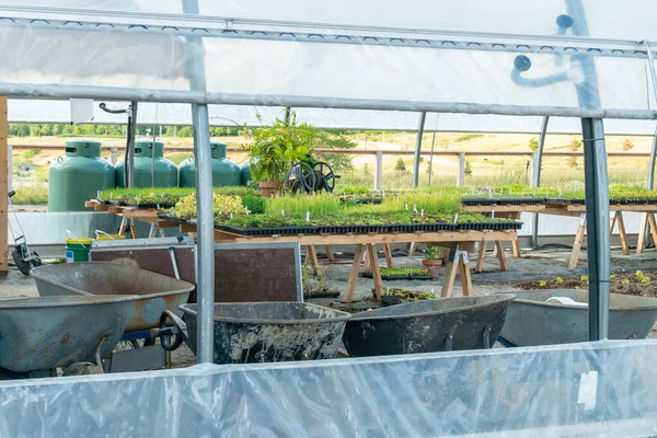 Зелений Будинок Розплідник Розсади Овочів Міська Невелика Урбанізована Ферма Вирощування — стокове фото