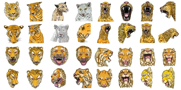Set Tiger Faces Heads Made Stone Marble Decorative Animals Roaring — Stock Vector