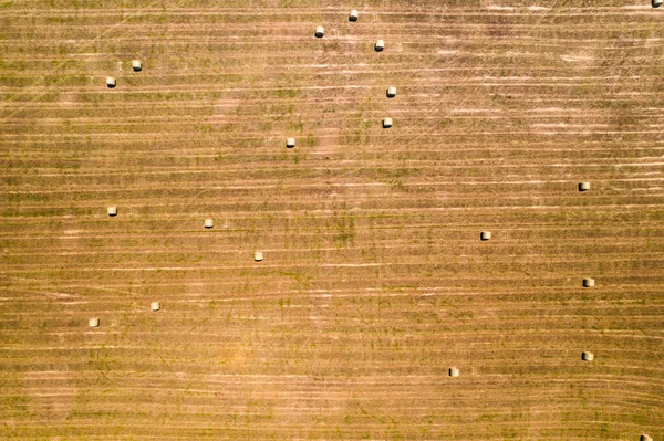 Summer Farm Scenery Haystacks Bales Hay Field Landscape Rolls Scattered — Stockfoto