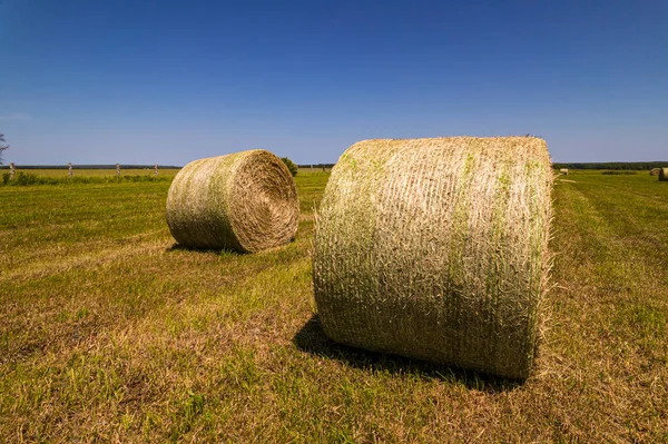 Haystack Straw Dry Grass Rolls Harvesting Season Countryside Farm Ranch — Foto de Stock