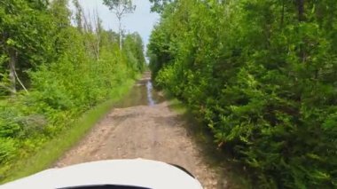 Araç görüş açısına göre açık araziye çıkıyor. Vahşi çam ormanlarında, kır yolundaki araba. Yazın kırsal bölgelerde gezip doğayı keşfediyorum. Amerikan vahşi doğası ve ormanları.