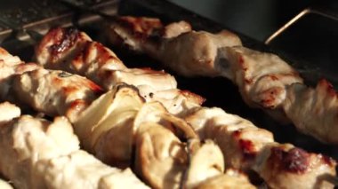 Kamp yerinde ızgara domuz yemeği pişirmek. Parkta ya da ormanda piknikte ızgara şiş kebap. Kapatın. Kızarmış ev yapımı domuz eti sobada yakılmış odun kömürleriyle birlikte. Kamp..
