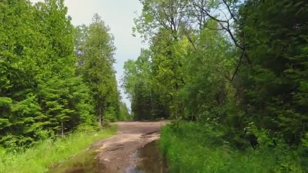 Punkt Widokowy Pojazdu Zjeżdżający Drogi Zewnątrz Samochód Wiejskiej Drodze Dzikim — Wideo stockowe