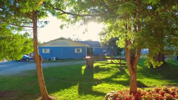 Früh Idyllischer Morgen Sommerhäusern Entlang Der Pike Bay Lake Huron — Stockvideo