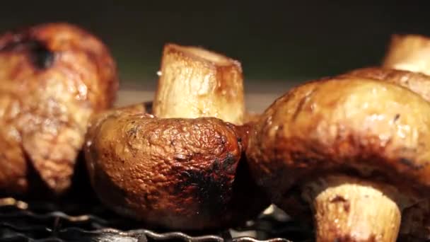 Zamknij Strzał Grzyby Warzywa Gorącym Grillu Podczas Gotowania Lesie Zewnątrz — Wideo stockowe