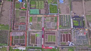 Neighbourhood urban garden, with hands grown green vegetables Agriculture in the city by citizens near their buildings and houses. Aerial view of community farming garden.