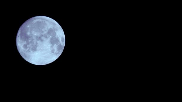 Pełnia Księżyca Szybki Ruch Owinięty Ciemnymi Czarnymi Chmurami Halloween Nastrój — Wideo stockowe
