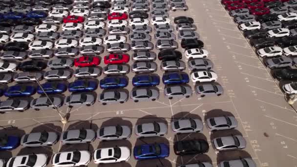 Toronto Ontario Canada September 2022 New Hybrid Cars Stock Parking — Stock Video