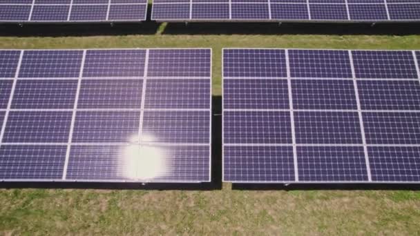 太陽光パネルの青い太陽光発電表面の空中ビューは きれいな緑の生態系の電気を生成するためのフィールドにマウントされています 環境負荷のない再生可能エネルギーの生産 — ストック動画