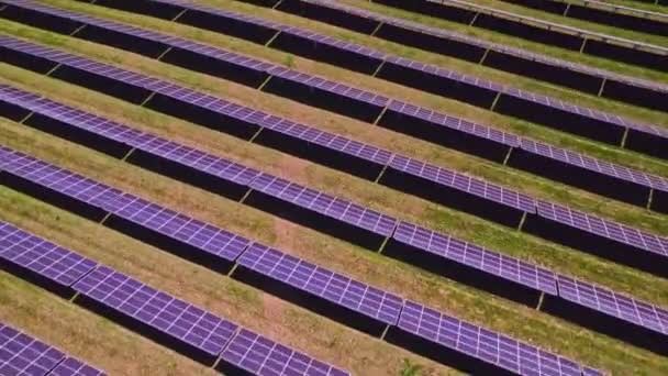 Пролетает Над Крупной Промышленной Фермой Солнечной Энергии Производства Солнечной Энергии — стоковое видео