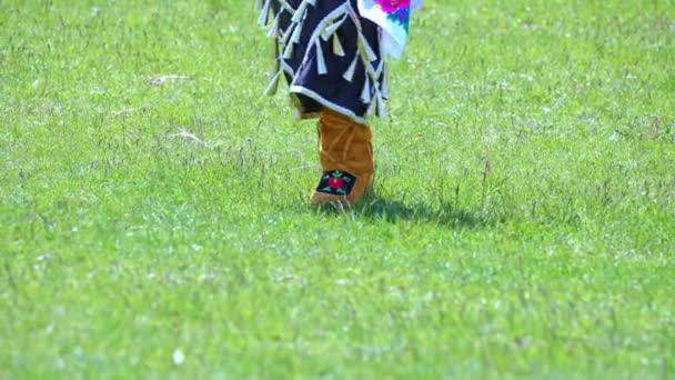 Pow Wow 2Nd Annual Two Spirit Powwow Spirited People 1St — Video Stock