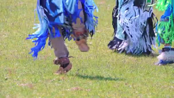 Torontos Årliga Spirit Powwow Värd För Spirited People 1St Nations — Stockvideo
