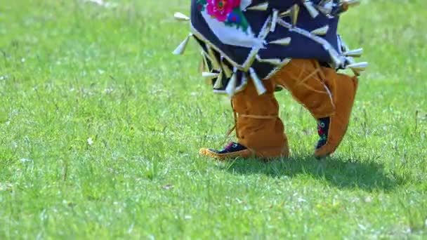 Pow Wow 2Nd Annual Two Spirit Powwow Spirited People 1St — Vídeos de Stock