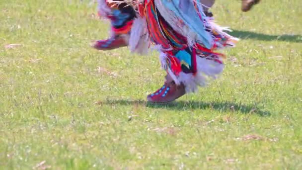 多伦多的第二次年度双灵巫师 由第一民族的双灵人在下城公园主持 传统舞蹈和竞赛 — 图库视频影像