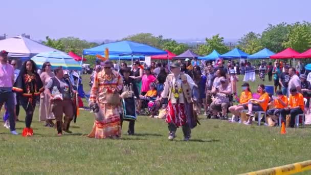 Щорічний Spirit Powwow Торонто Організований Spirited People 1St Nations Downsview — стокове відео