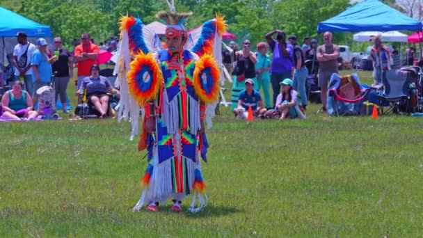 Toronto 2Nd Annual Spirit Powwow Організована Spirited People 1St Nations — стокове відео