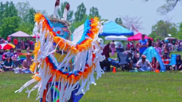 Pow Wow Indigenous Traditional Dance Style Regalia Spirit Powwow Hosted — Stock Video