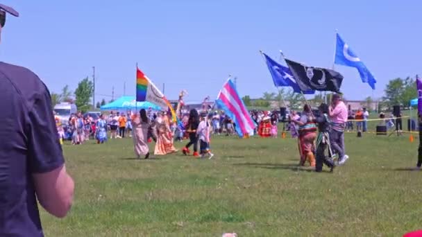Exibição Bandeiras Two Spirits Pow Wow Confederação Iroquesa Bandeira Orgulho — Vídeo de Stock
