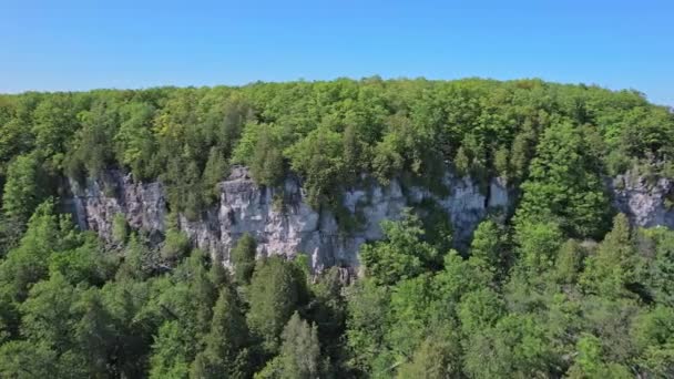 Rattlesnake Point Conservation Area Lookout Province Ontario Canada Scenic Popular — Stock Video