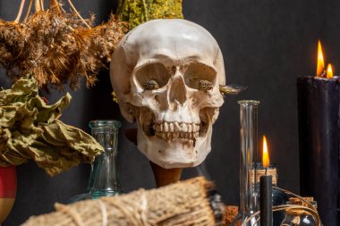 İnsan kafatasları büyü ritüeli. Kara büyü bağlantılı nesneler ve araçlar. Cadı simyacı ve sihirbaz imajının gotik cadılar bayramı tarzında bir hayat. Siyah yanan mumlarla çevrili.
