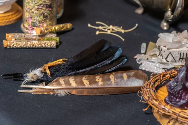 Birds Parts Feather Raven Toes Witch Altar Performing Black Magic — Stock Photo, Image