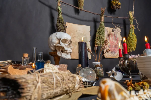 stock image Occult and esoteric witchcraft still life. Halloween background with magic objects. Black candles, skull, crystal stones, and potions vials for witch. Mystic witchery background with dry weeds.