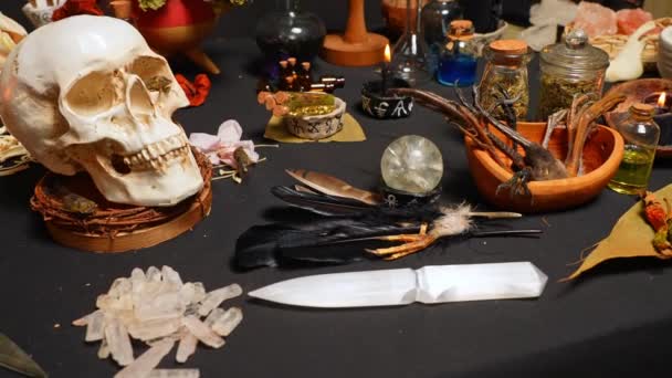人間の頭蓋骨とセミの生き物のバグ儀式 選択的な焦点のために ハロウィーンのオカルト 神秘的で占いの魔法の概念 魔法の祭壇で魔女工芸黒魔法 — ストック動画