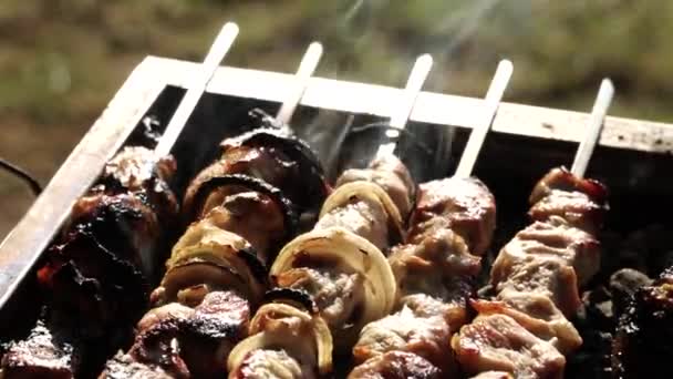 Приготовление Шашлык Шашлык Мясо Шампур Гриле Барбекю Крупный План Жареной — стоковое видео