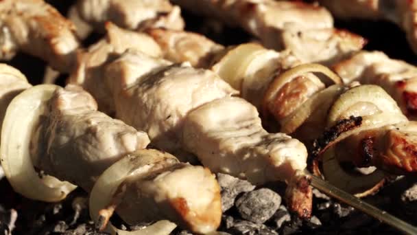 Főzés Sült Szaftos Sertés Kebab Barbecue Hagymakarikákkal Grillen Skewer Kezelt — Stock videók