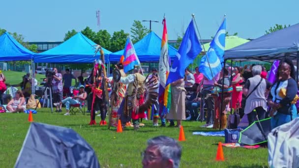 Display Flags Two Spirits Pow Wow Pride Flag Spirited Native — Stock Video