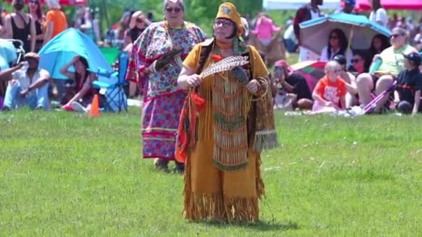 Пеу Традиційний Танець Корінних Народів Стилем Регалією Spirit Powwow Прийом — стокове відео