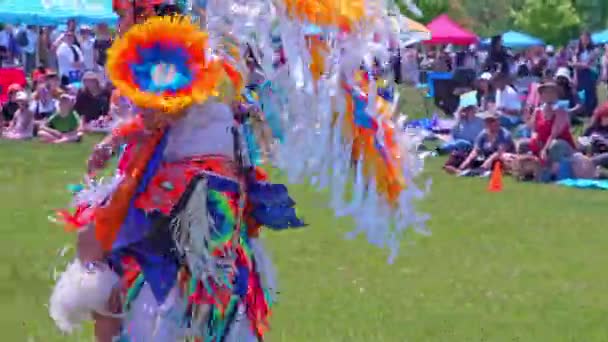 Пеу Традиційний Танець Корінних Народів Стилем Регалією Spirit Powwow Прийом — стокове відео