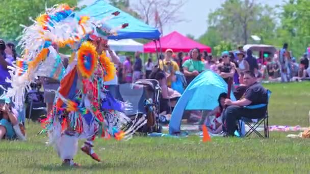 Pow Wow Danza Tradizionale Indigena Con Stile Regalia Spirit Powwow — Video Stock