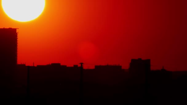 City Skyline Kuuma Elokuvallinen Auringonlasku Keskusta Kaupunkikuva Valaistu Suuri Lämmin — kuvapankkivideo