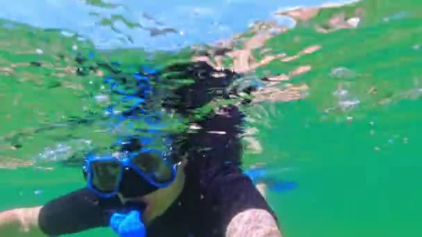 Man Swimming Snorkelling Crystal Clear Water Canadian Lake Underwater View — Stock Video