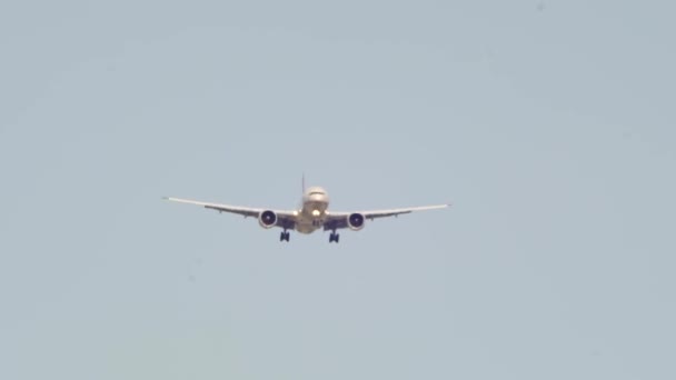 Flugzeug Landet Kopfüber Auf Kanadischem Flughafen Passagierflug Beim Und Abflug — Stockvideo