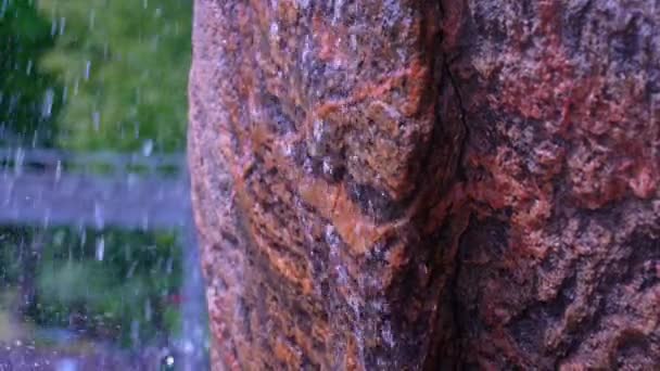 Rock Con Agua Manantial Cámara Lenta Rosetta Mcclain Gardens Nombrado — Vídeos de Stock